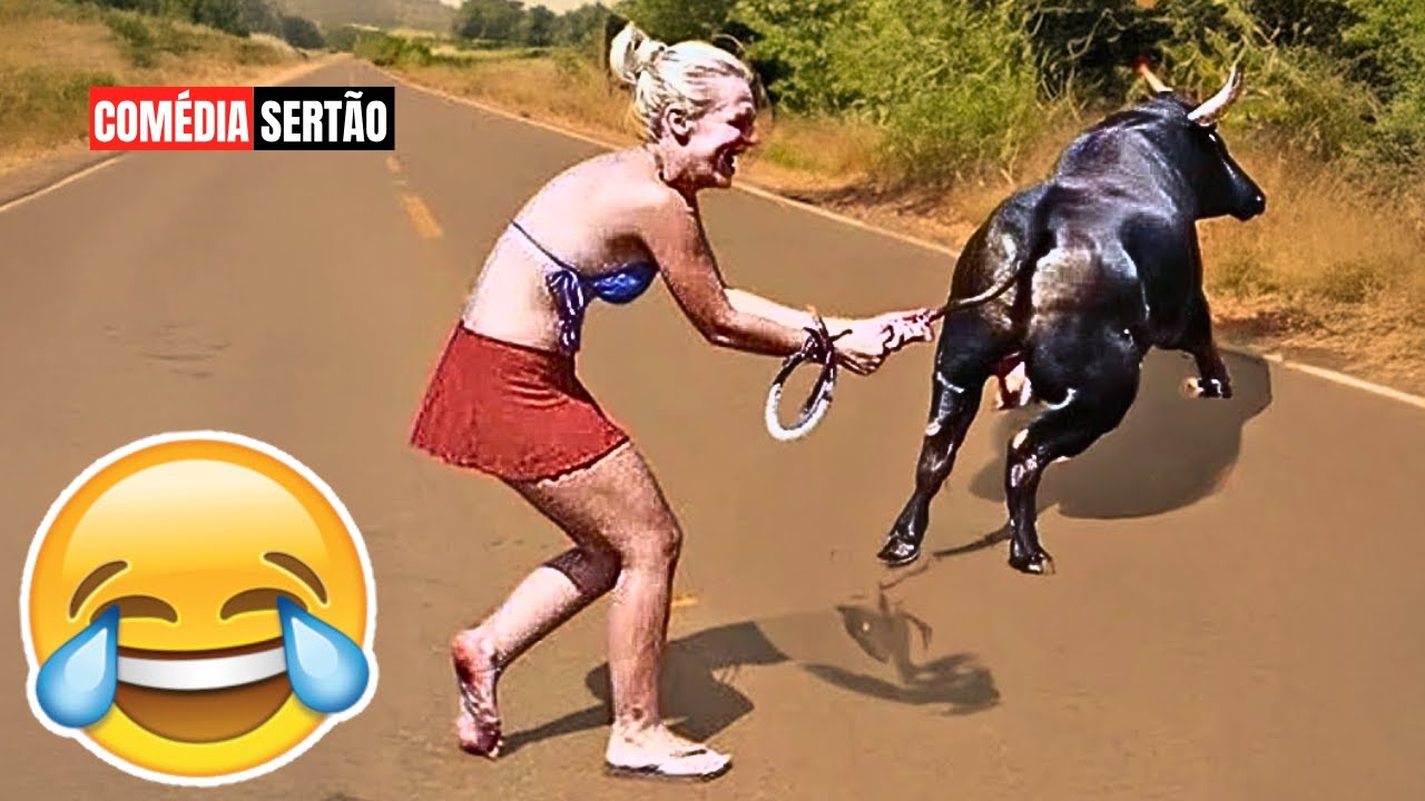 TENTE NÃO RIR: VÍDEOS ENGRAÇADOS 2025 E MEMES - #33