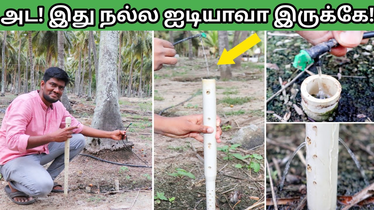 பாதி தண்ணீரில் மா, தென்னைக்கு நீர் பாய்ச்சலாம்! Deep Drip Irrigation
