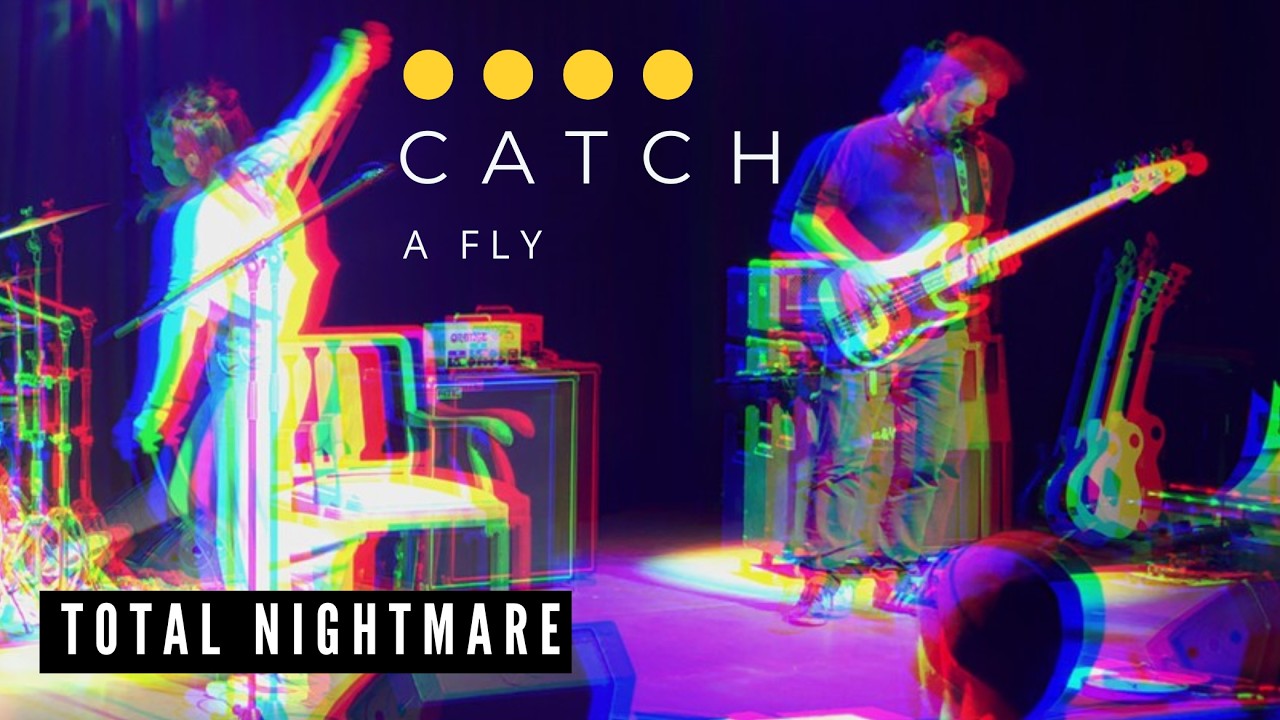 Catch A Fly - Total Nightmare Live