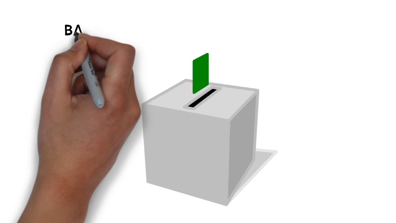 Elections - Polling day