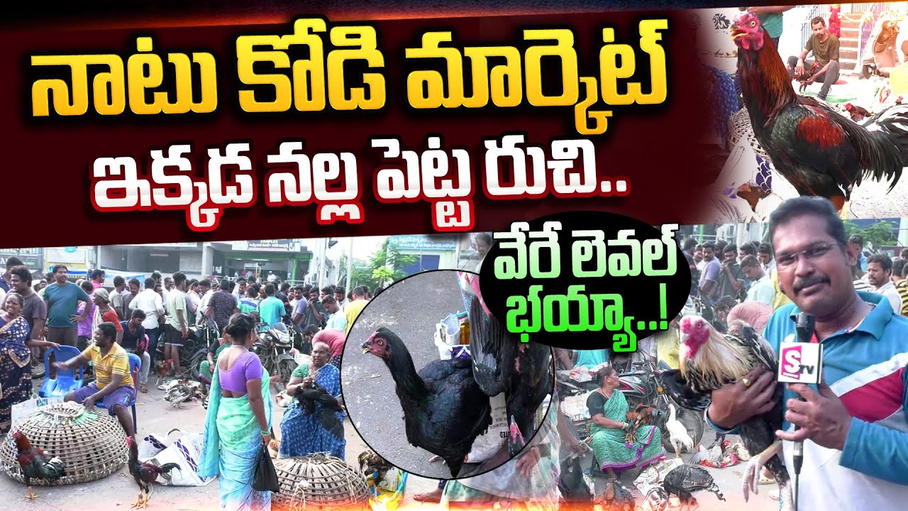రాజమండ్రిలో నాటు కోడి మార్కెట్.. | Natu Kodi Market in Rajahmundry | Latest News