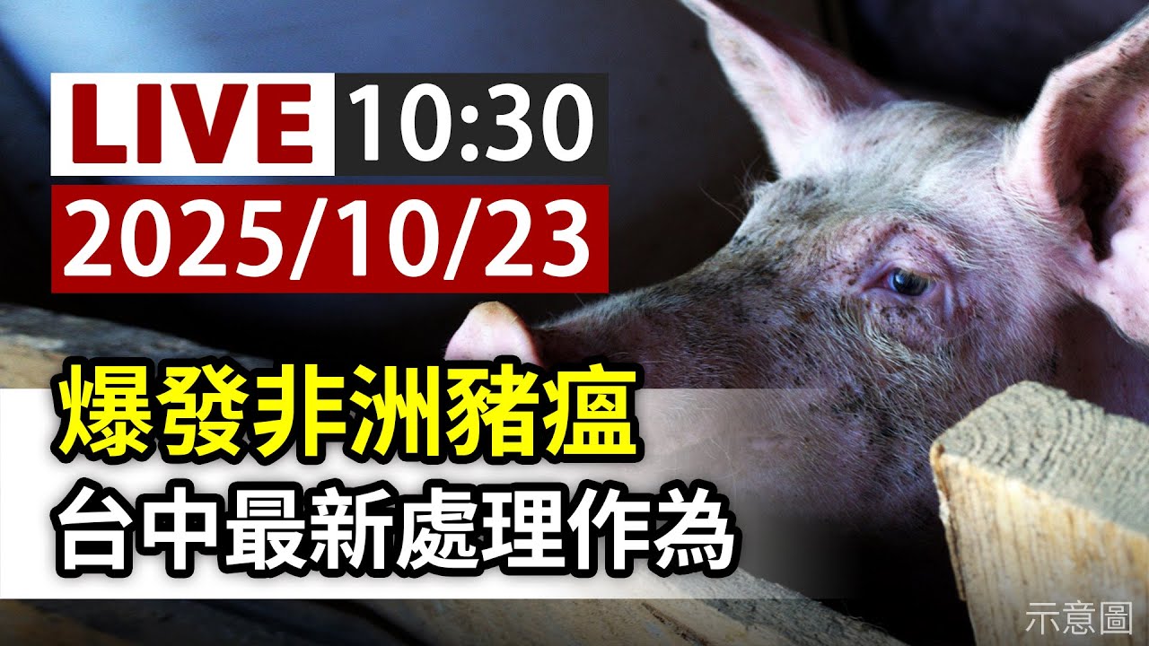【完整公開】LIVE 爆發非洲豬瘟 台中最新處理作為