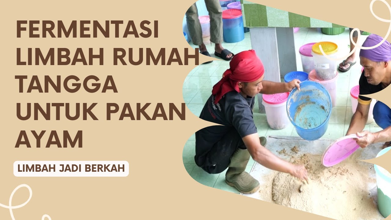 FERMENTASI LIMBAH RUMAH TANGGA UNTUK PAKAN AYAM