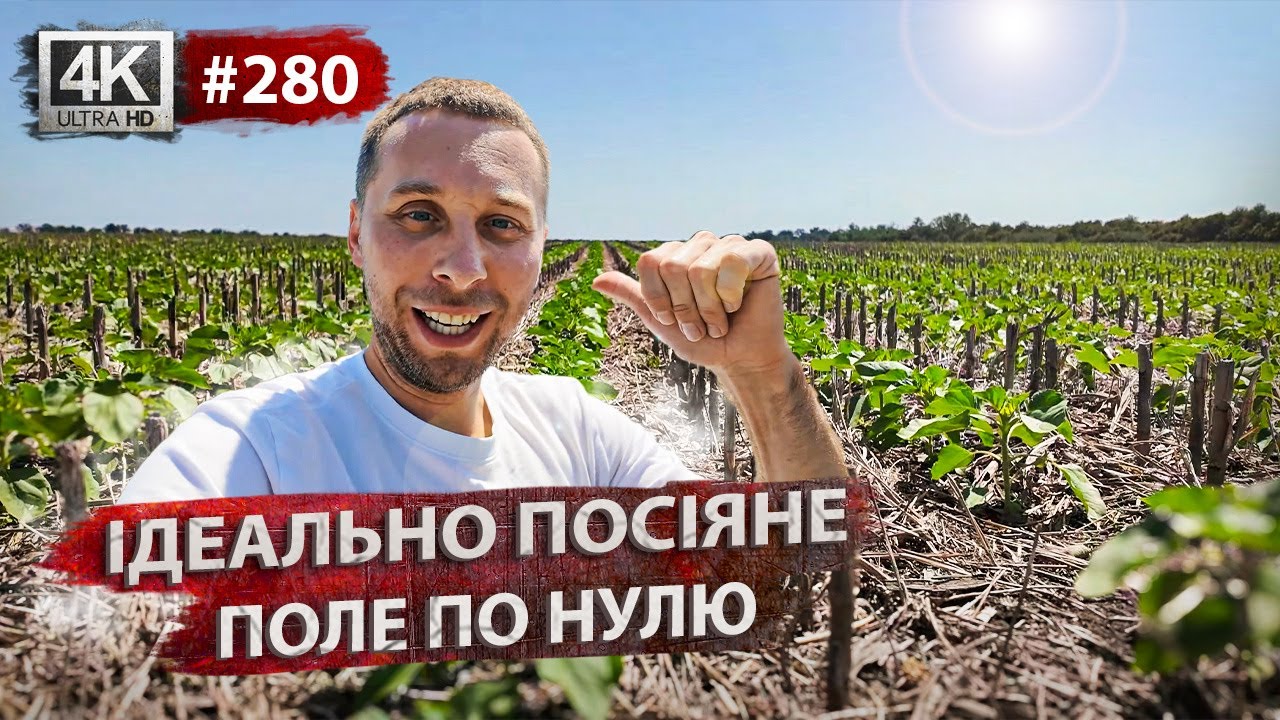 Тепер сіємо ТІЛЬКИ ТАК🌻Машина згоріла?🔥Особливості хімікатів🧪