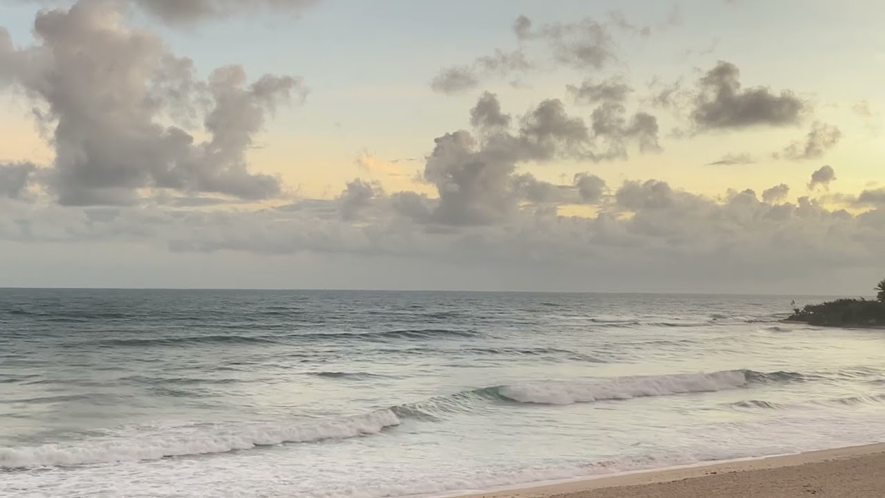 PREVISÃO DIA 05 /03 /26 SWELL SEMANAL