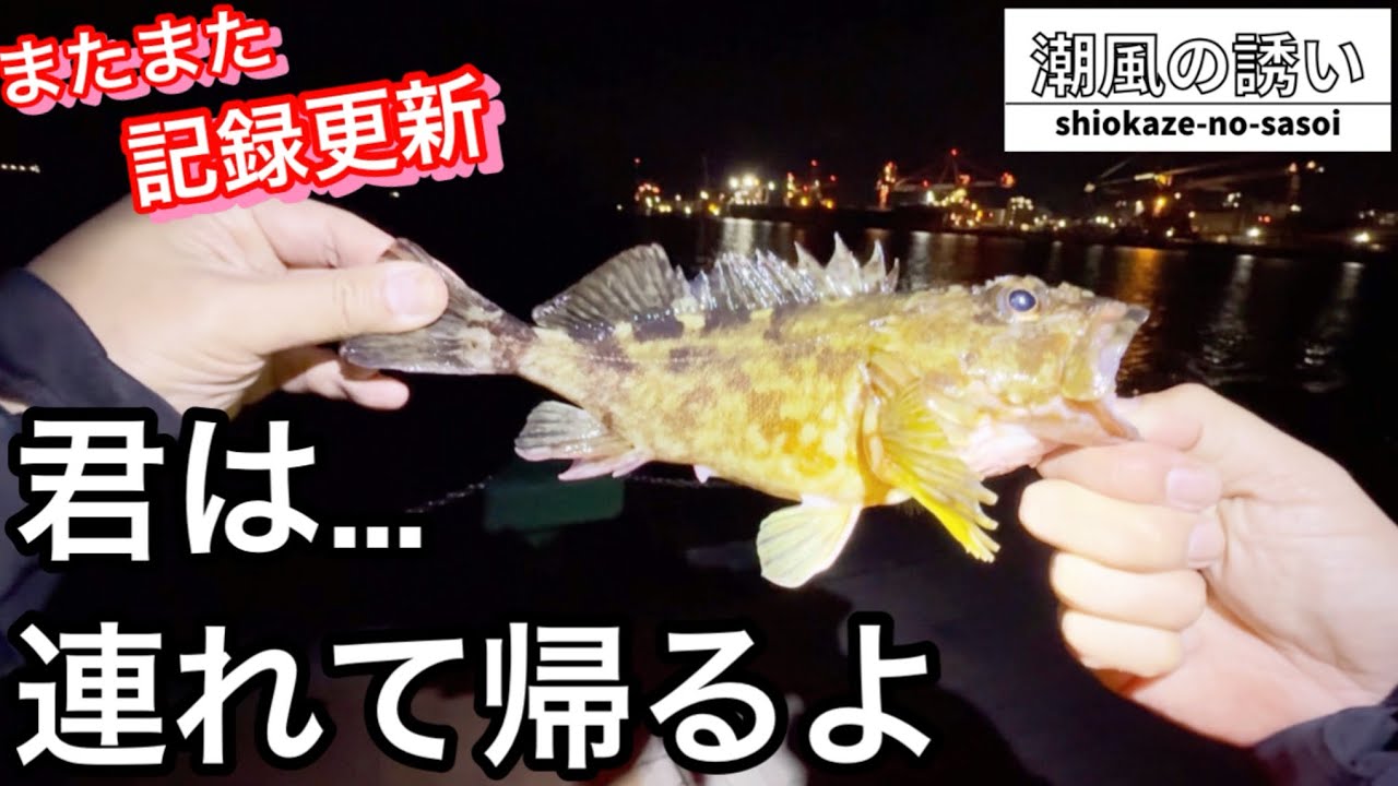 【ライトゲーム】巻いても巻いても…ドラグが… 【記録更新】