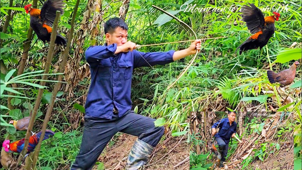 Shoot Arrows To Catch Wild Chickens. building life. mountain life (EP.51)