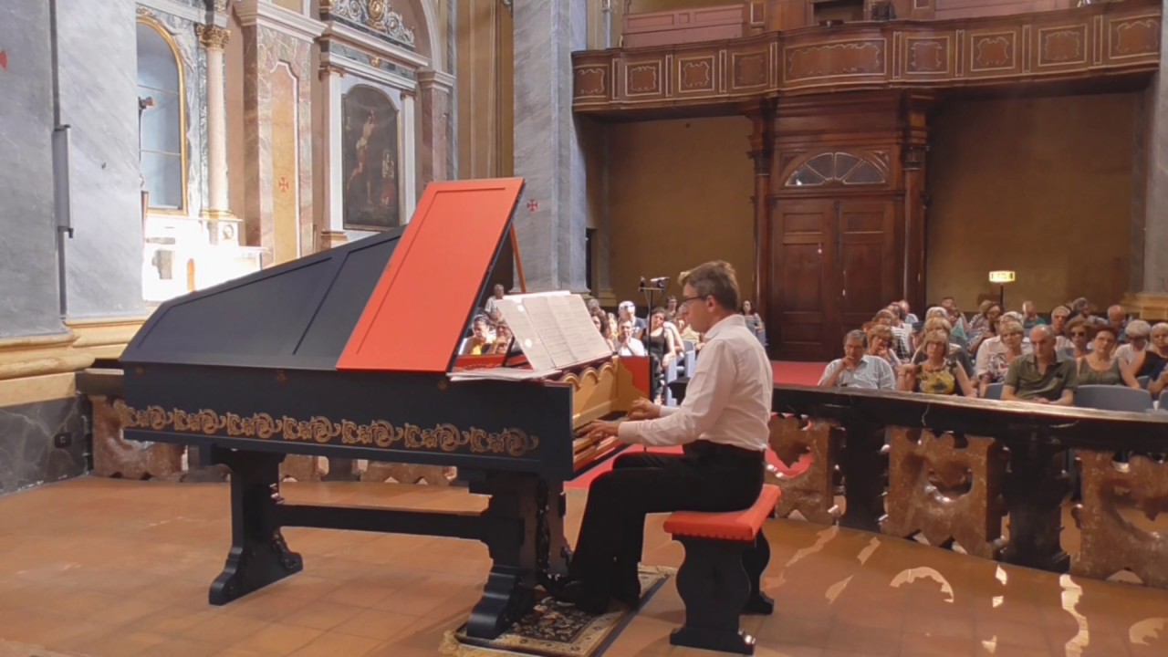 Viola organista in Vigevano, Italy.
