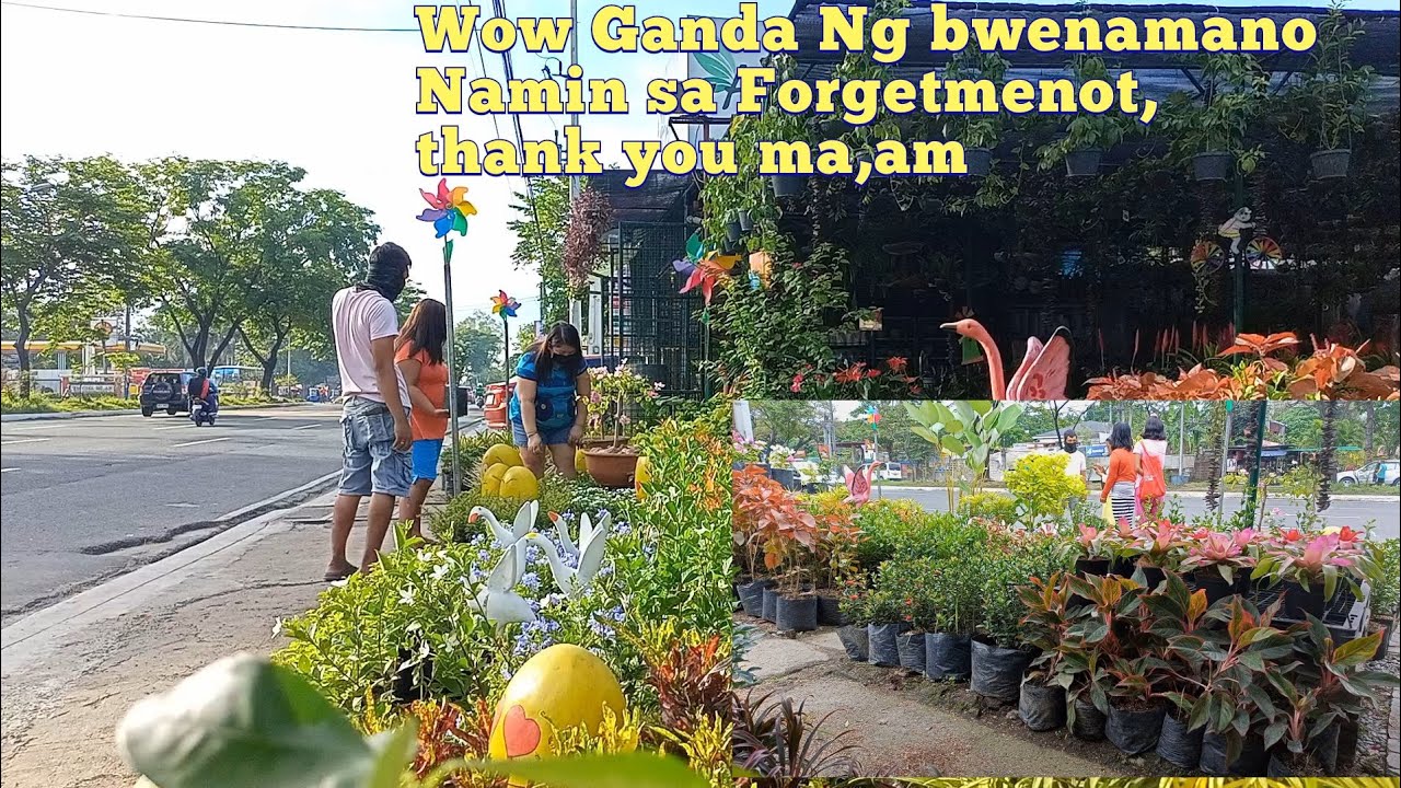 #18 PAGAAYOS NG BAGONG PLANTS