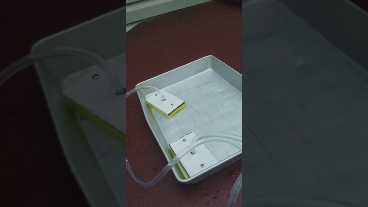 Dry bilge test 1