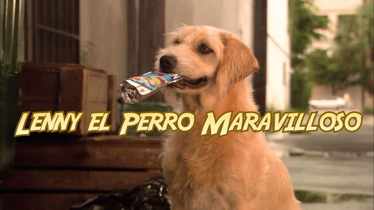 Las increíbles aventuras del pequeño héroe y su amigo parlante | Pelicula completa en español latino