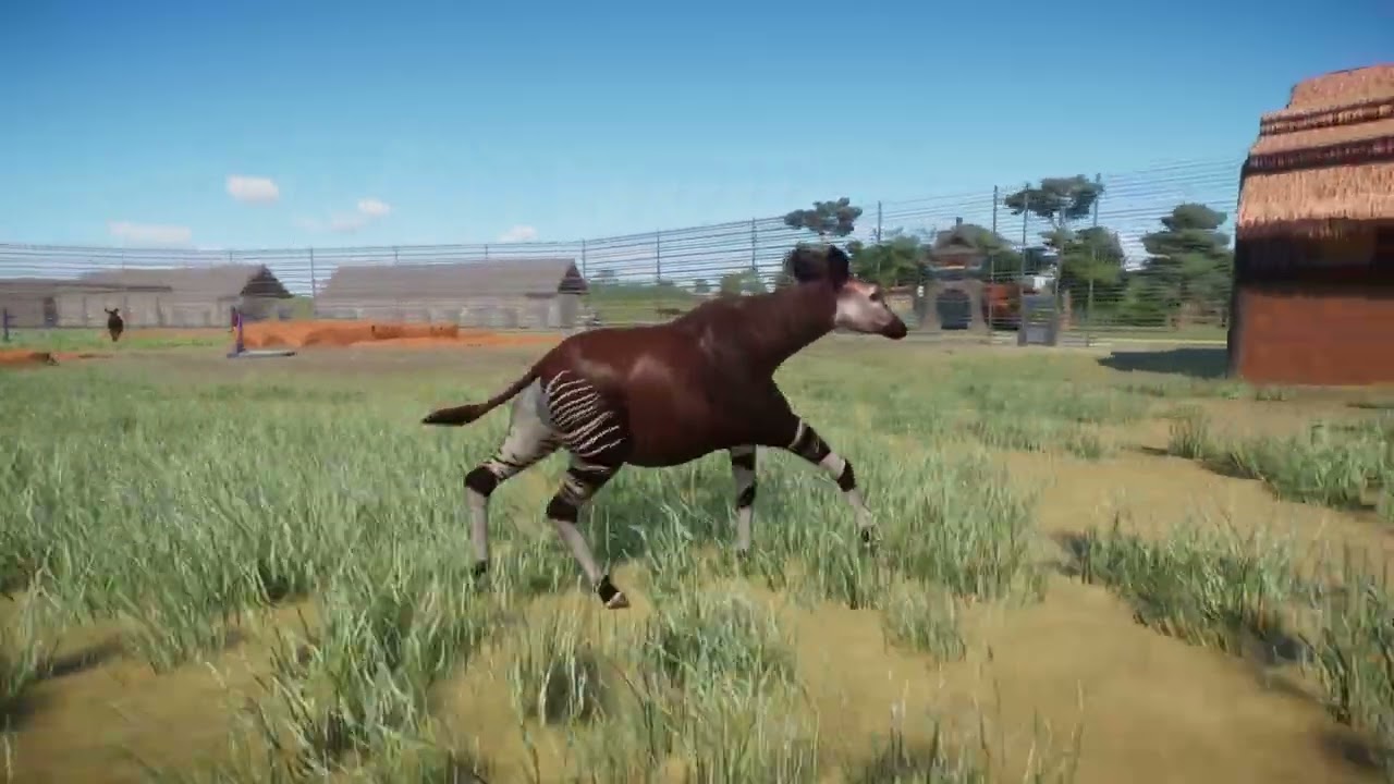 OKAPI