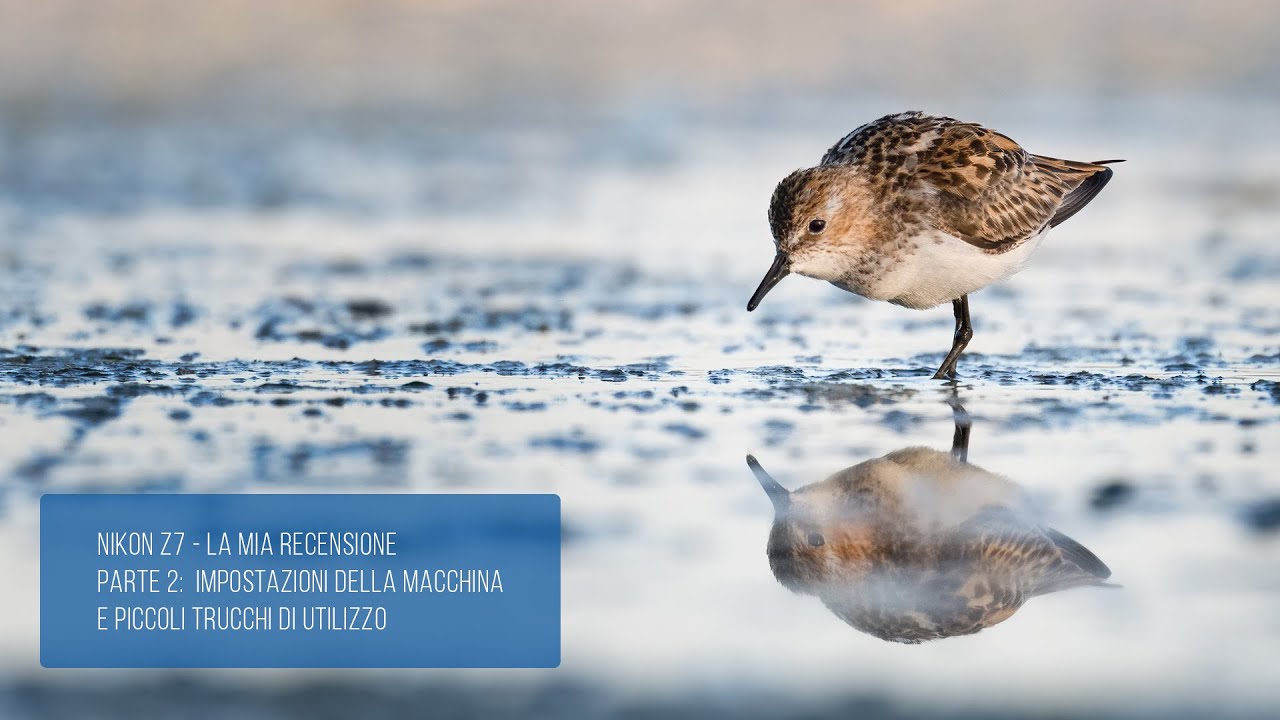 NIKON Z7 - La mia recensione. PARTE 2: Impostazioni della macchina e piccoli trucchi di utilizzo