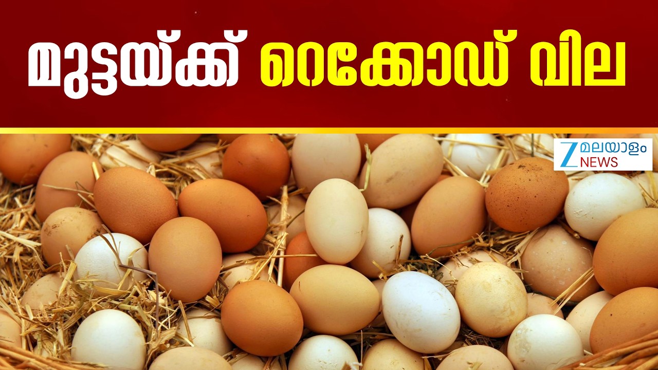 Egg Price Hits Record High | മുട്ടയ്ക്ക് ആവശ്യം കൂടിയതാണ് ഇപ്പോഴത്തെ വിലവർധനവിന് കാരണം