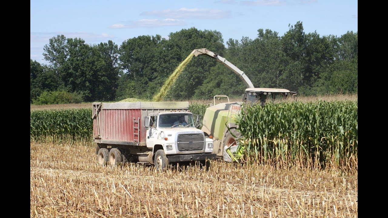 626 hp CLAAS 960 Jaguar Chopping Corn Silage