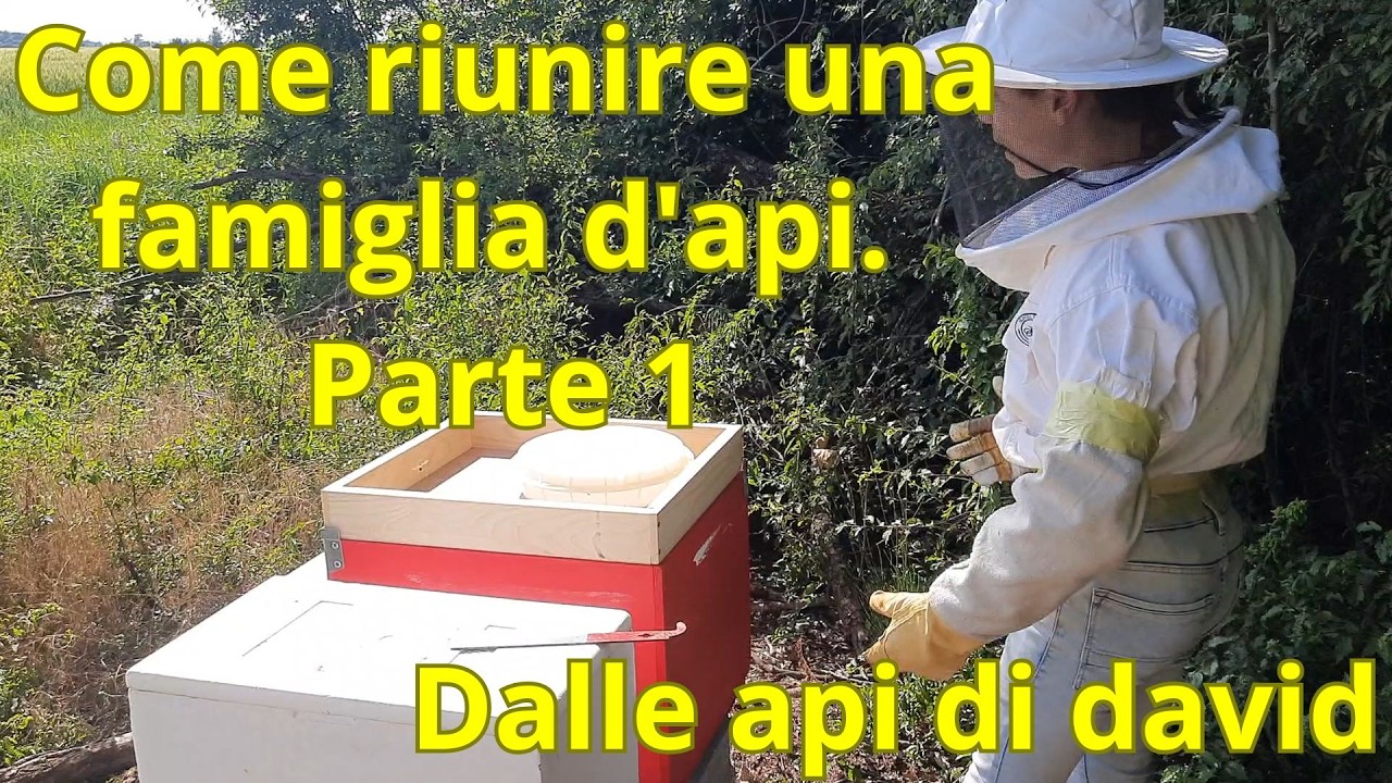 Come riunire una famiglia d'api. Parte 1