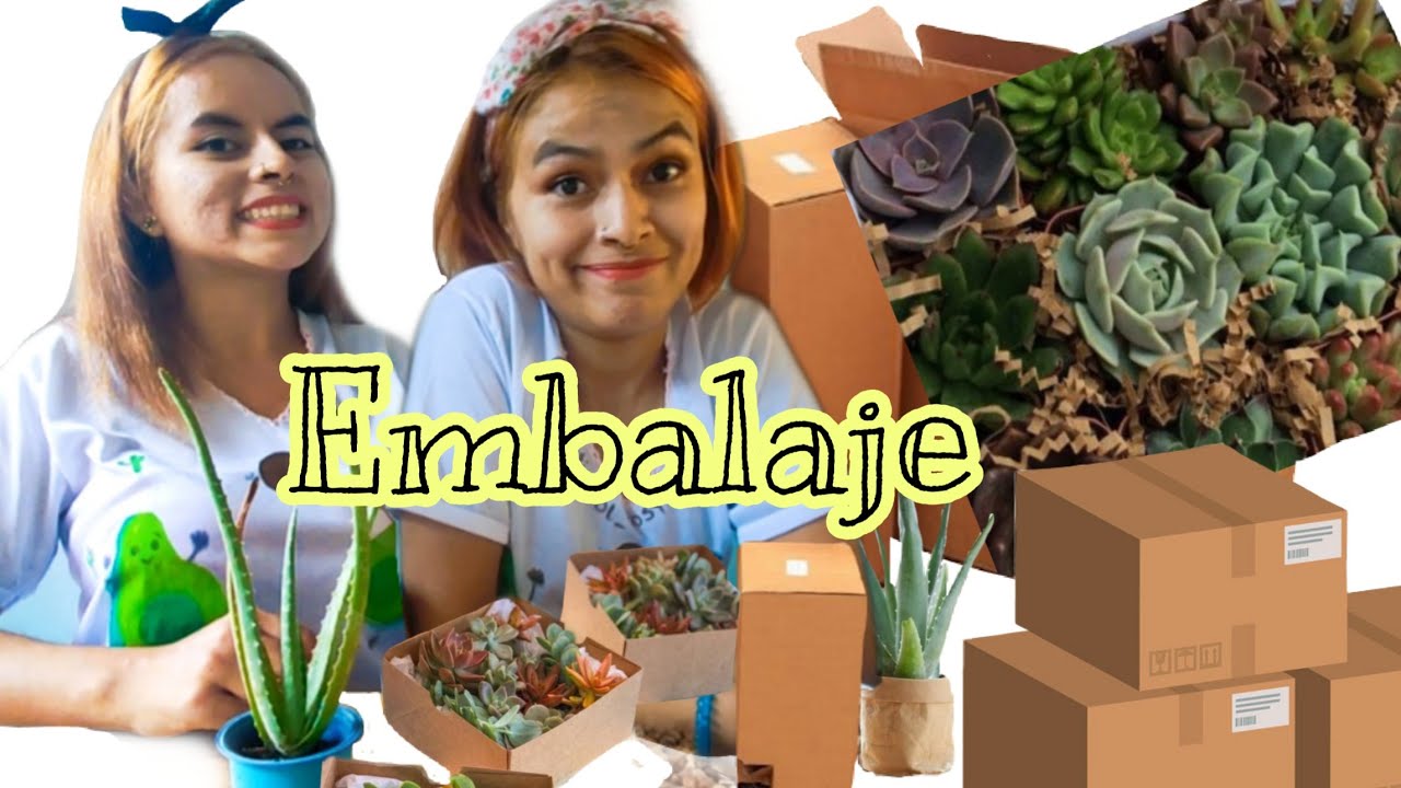 EMBALAJE PARA PLANTAS - COMO EMBALAR PLANTAS