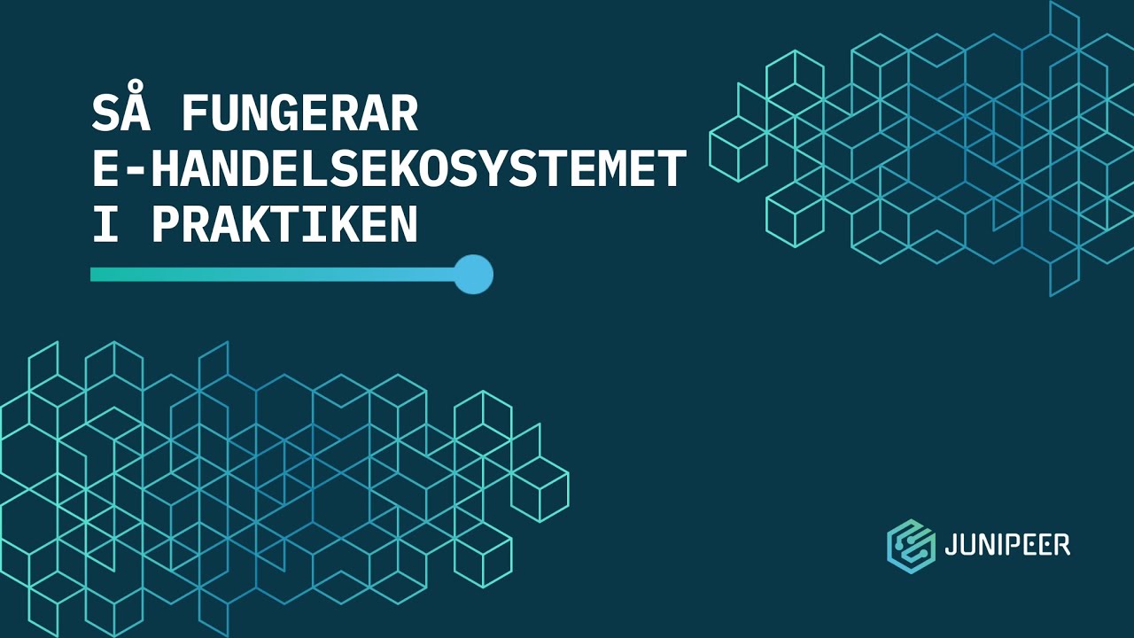 Så fungerar e-handelsekosystemet i praktiken