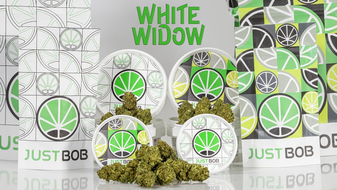 White Widow CBD - Cannabis sans THC - JustBob FRA