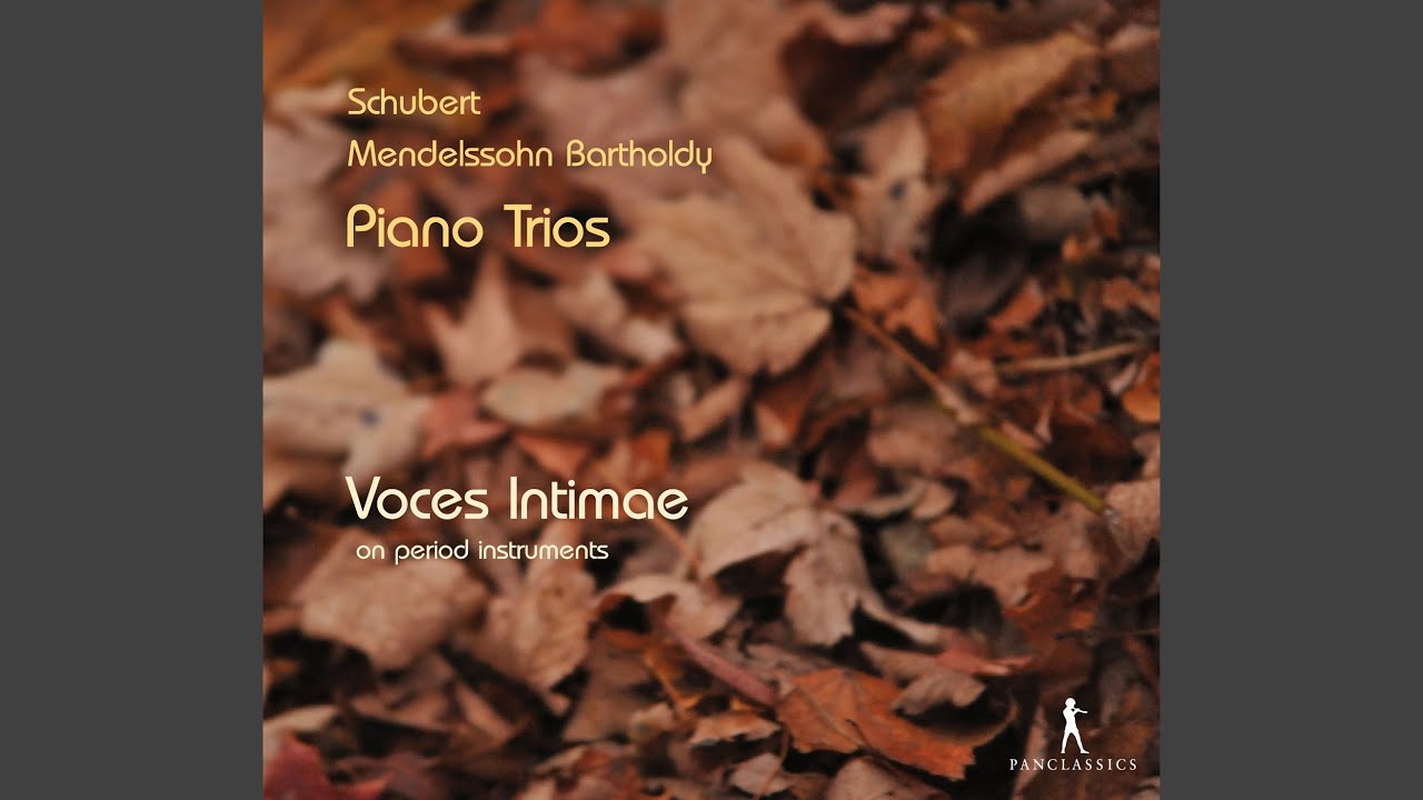 Piano Trio No. 2 in C Minor, Op. 66, MWV Q33: IV. Finale