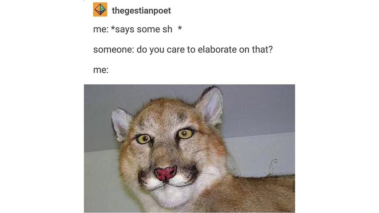 Tumblr Wumblr - Episode 77