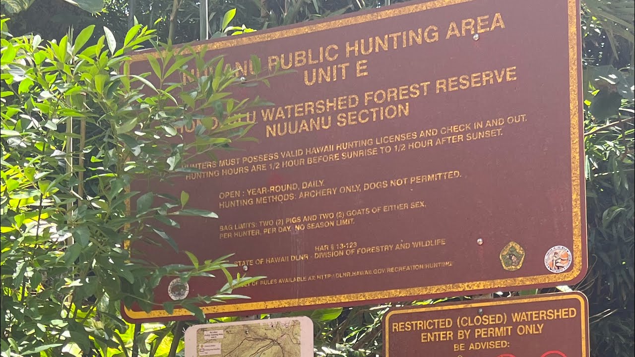Lulumahu falls