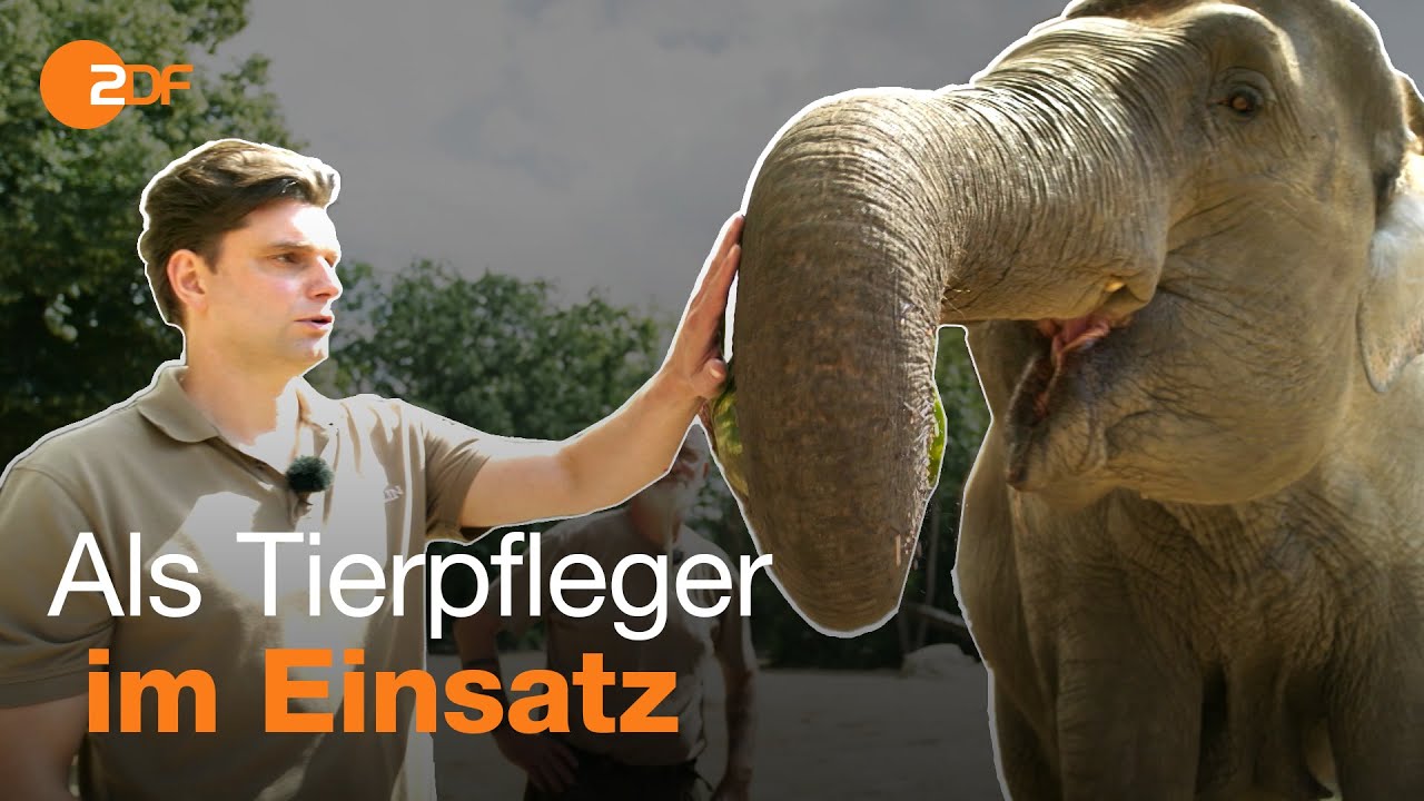 Lutz van der Horst im Zoo | Ferienjob Tour mit Lutz und Fabian