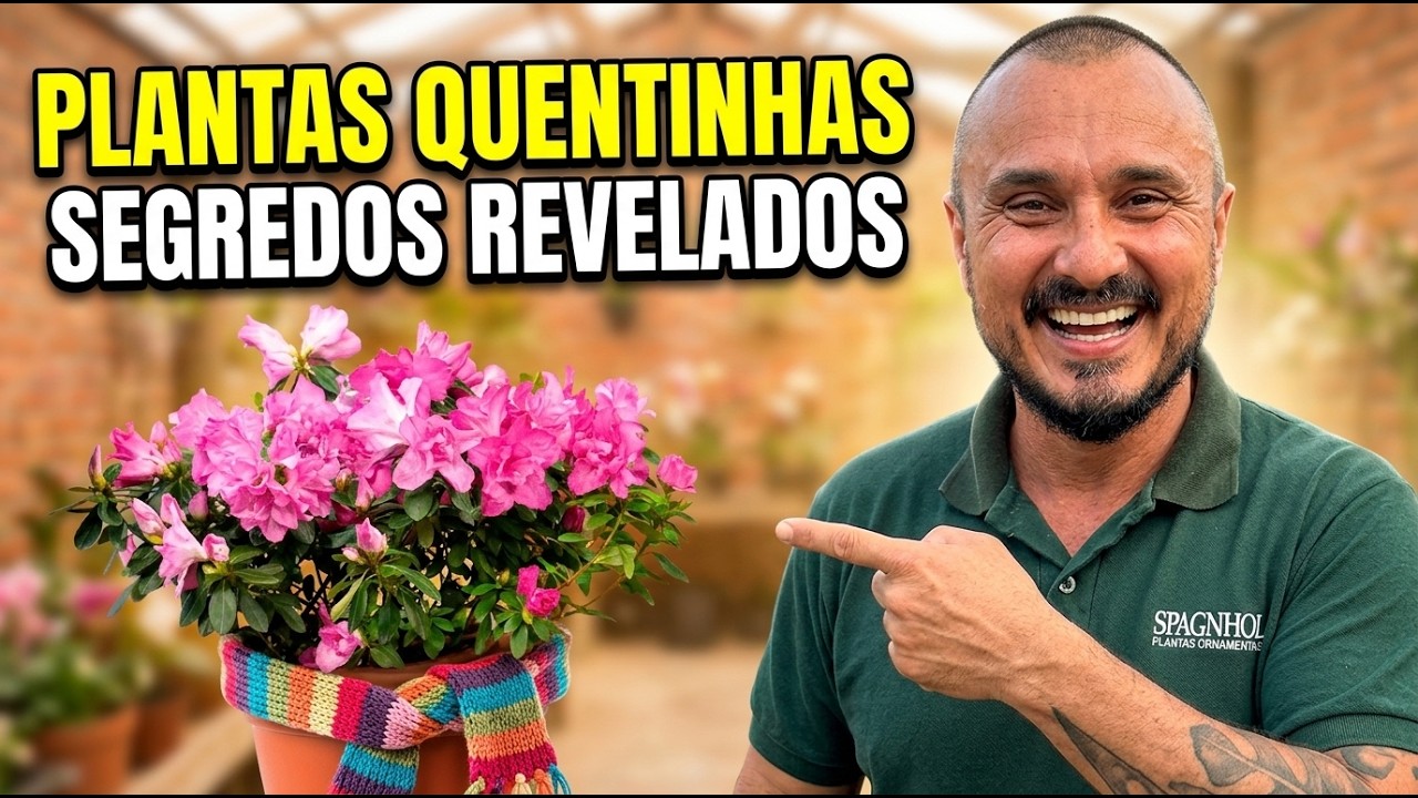 Como Cuidar das Suas Plantas no Inverno — O Que Ninguém Te Contou!