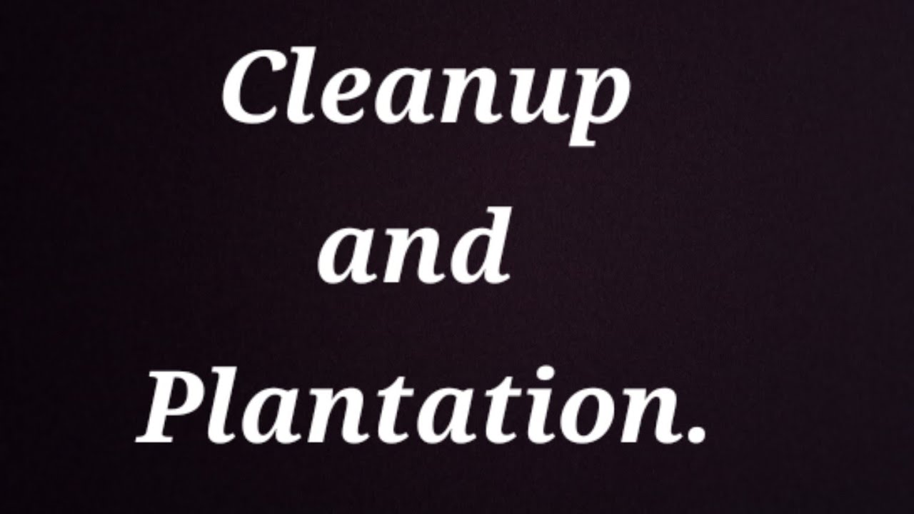 From Trash to Transformation | Our 2-Day Clean-Up & Green-Up Mission. 