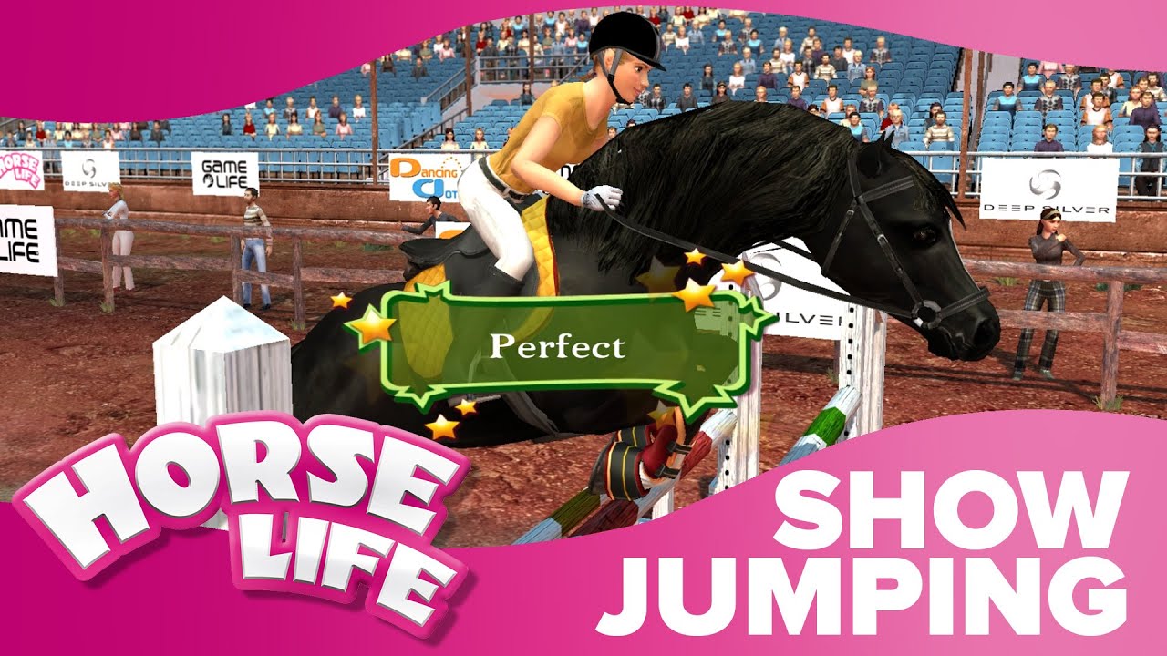 World Show Jumping | Horse Life 2 Competitions 🏆