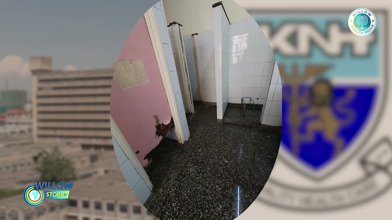 KNH’s Dirty Secret: Why Patients Are Better Off Carrying Own Potty