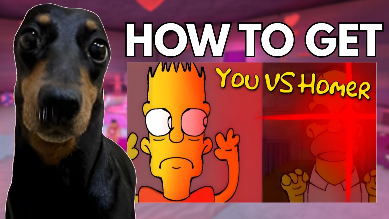 HOW TO GET THE NEW 