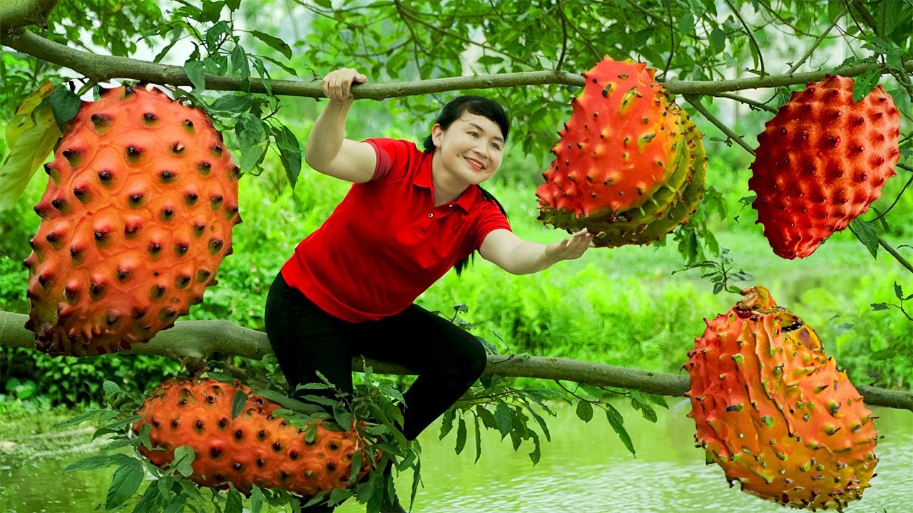 How to Harvest Soursop, goes To Market Sell - Harvesting and Cooking |Tieu Vy Daily Life