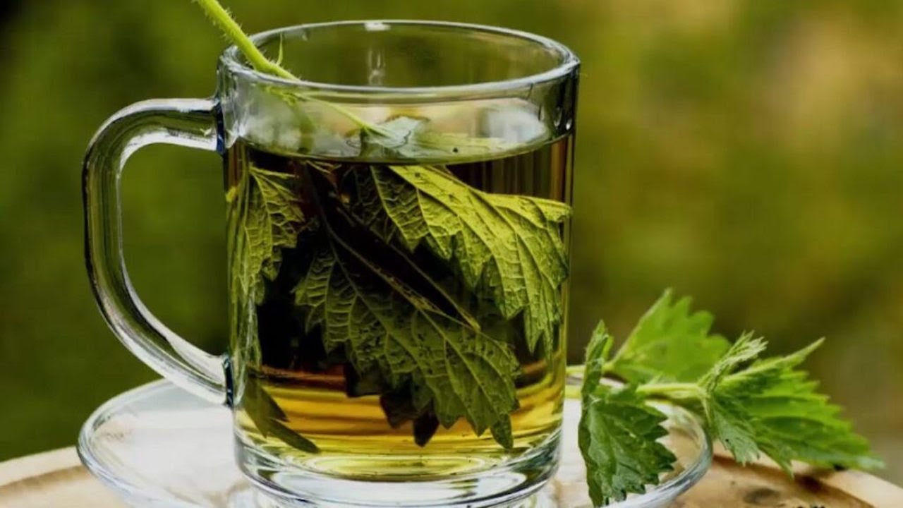 Cleanse Your Kidneys With Parsley Juice The Natural Way!