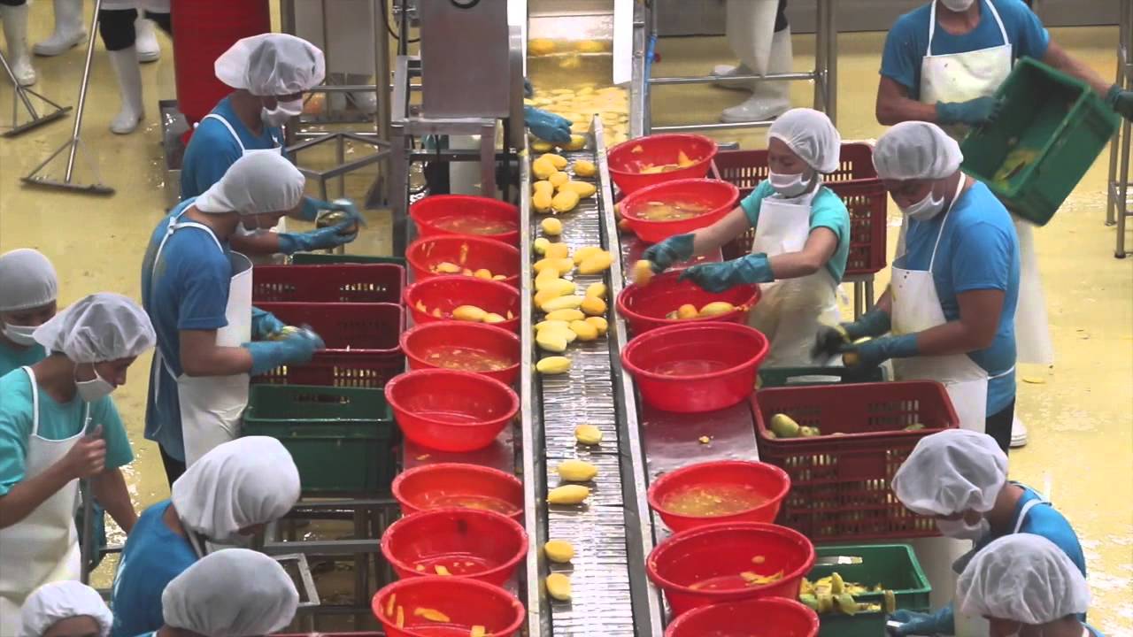 SOMOS goes to the Philippines- Mango Factory Tour in Cebu, Philippines