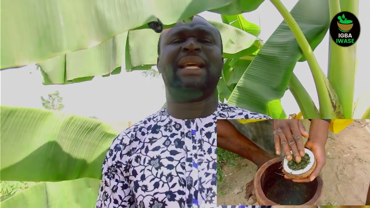 OSE AWORO ITAJA NLA