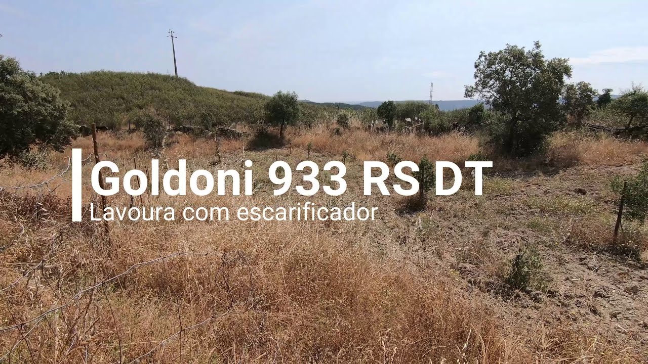 Goldoni 933 RS DT | Preparar o solo das oliveiras para o verão