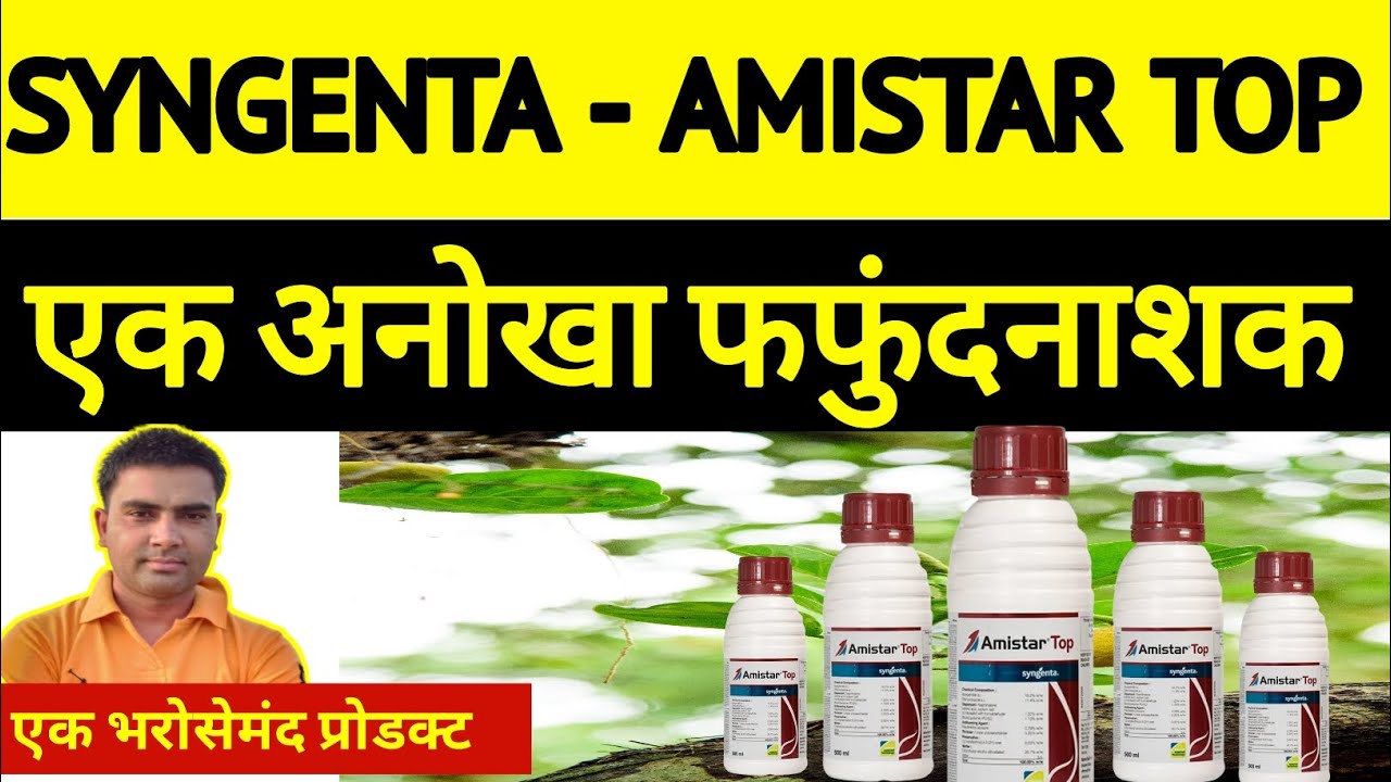 amistar top syngenta ।  azoxystrobin fungicide । गन्ने के लाल सड़न रोग के लिए अच्छा फंगीसाइड।