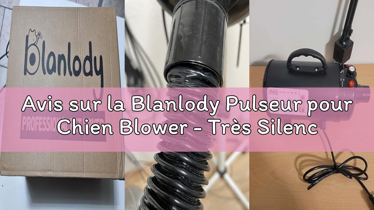 Avis sur la Blanlody Pulseur pour Chien Blower - Très Silencieux - 4,5 CV / 3200 W - Moteur réglable
