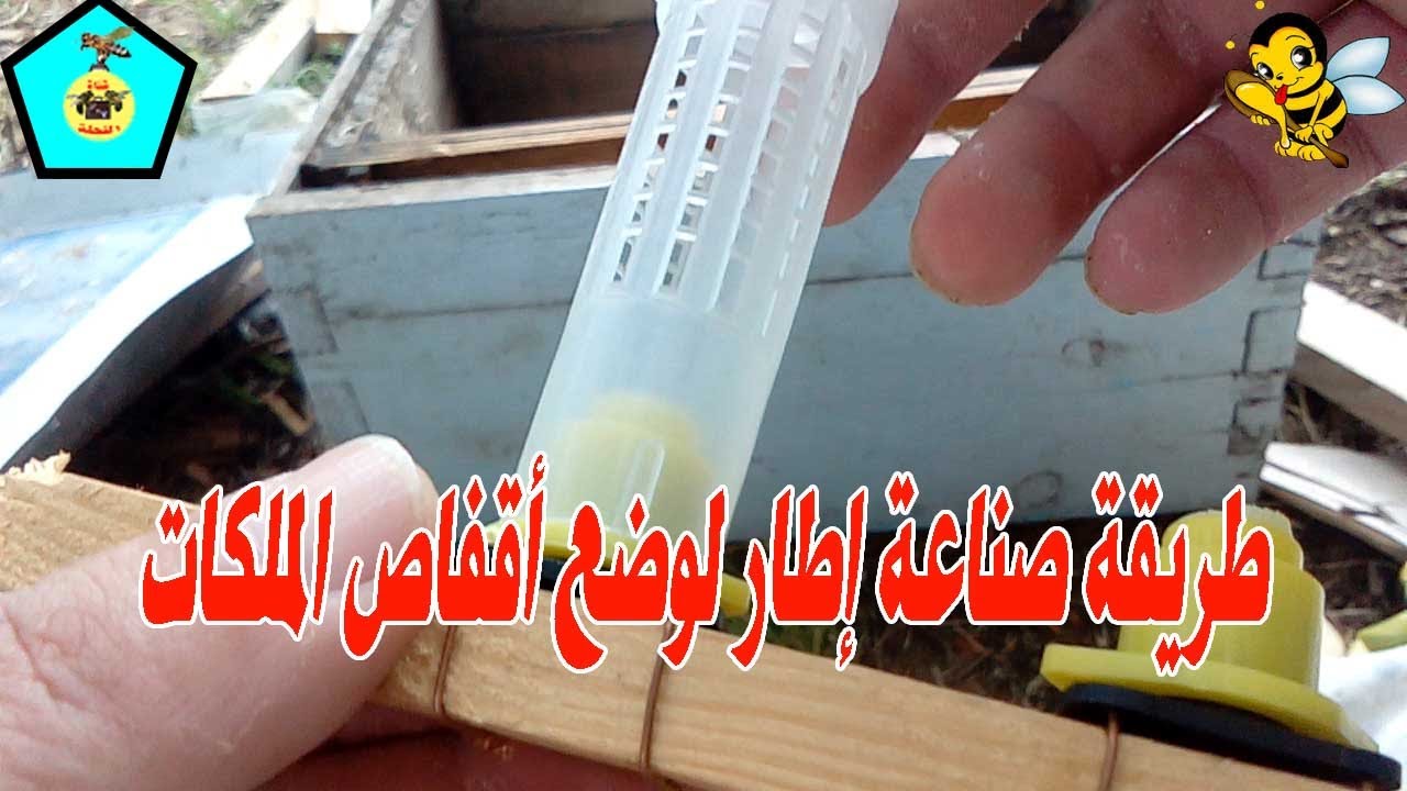 طريقة صناعة إطار لوضع أقفاص الملكات