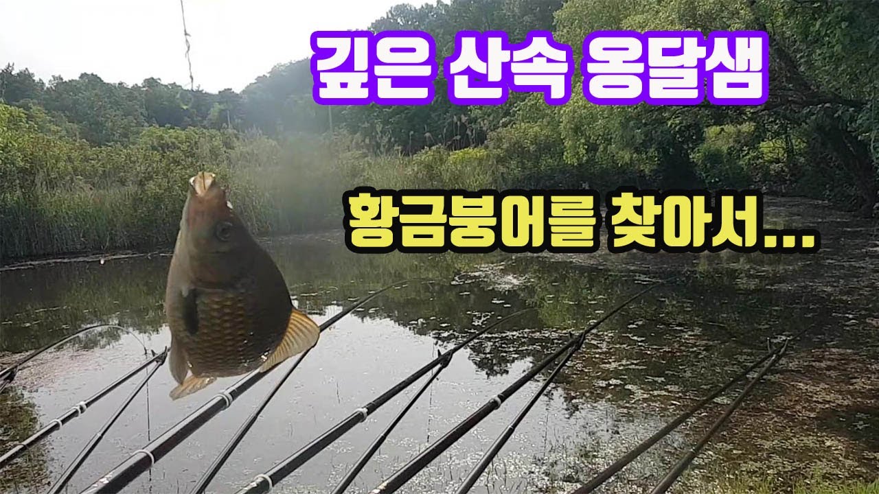 깊은 산속 옹달샘 황금붕어를 찾아서 초소형 소류지 둠벙낚시