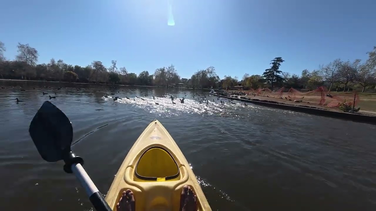 POV Kayaking at Lake Balboa, California | Peaceful Morning Sounds