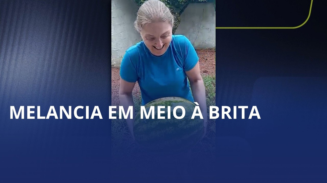 Melancia