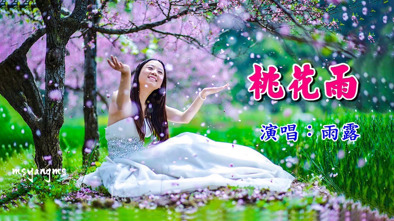 桃花雨　雨露（好聽）