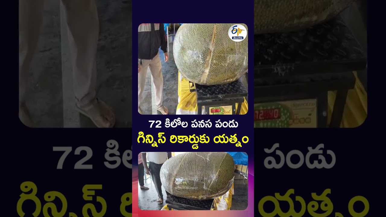 72 Kg Jackfruit from Karnataka Eyes Guinness World Record