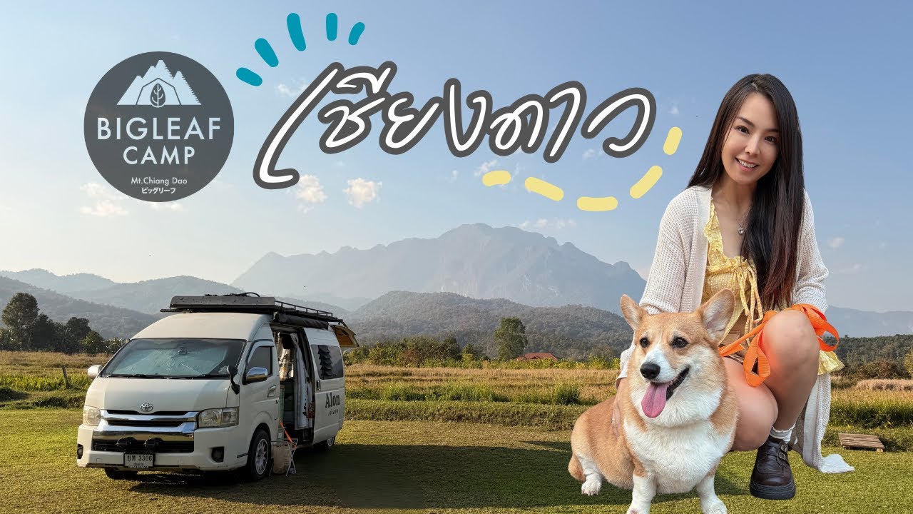 BigLeaf Camp วิวดอยหลวงเชียงดาวสุดปัง คนละ 200 บาท มีไฟฟ้า มีน้ำอุ่น เดินทางสะดวก