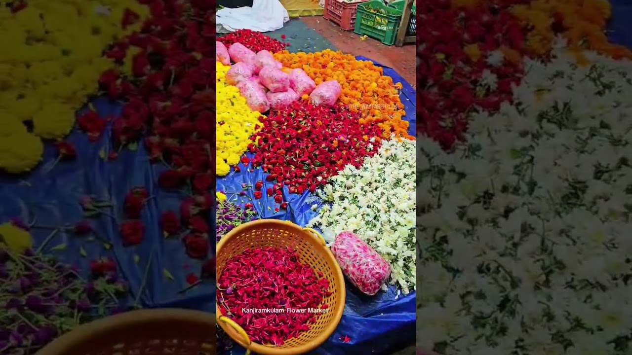 onam flower #market#kanjiramkulam#🥰🥰🥰#