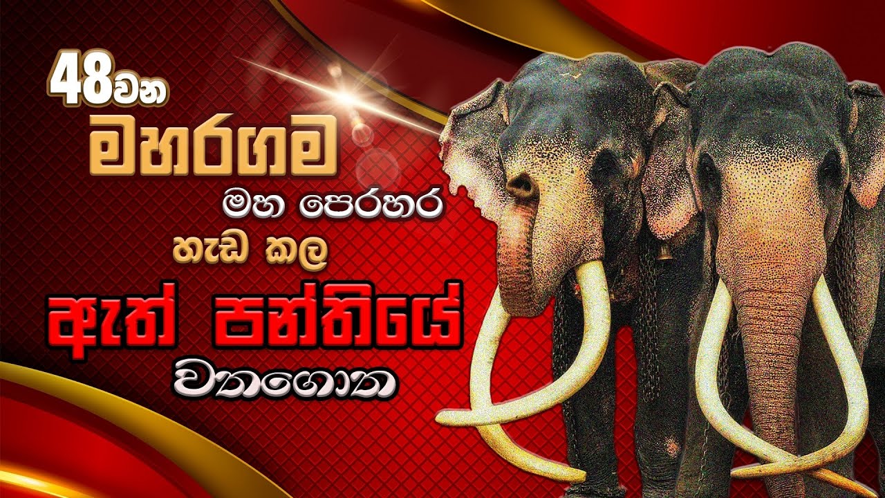 48 වන මහරගම මහා පෙරහැරේ වතගොත | 48th Perahara procession of Maharagama Temple
