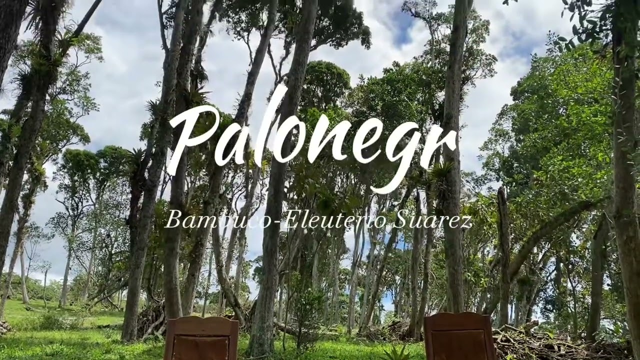 Palonegro-Valentina Gómez Sanabria y José Segundo Castellanos