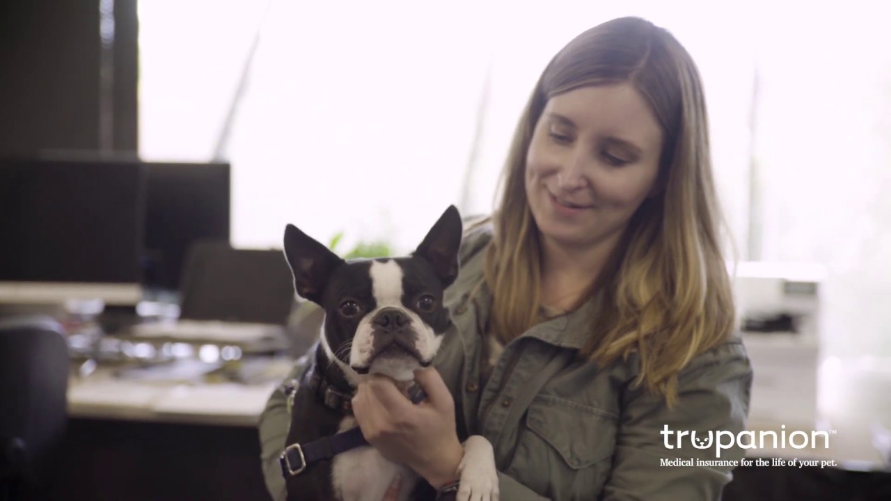 Trupanion Deductible: What You Need to Know